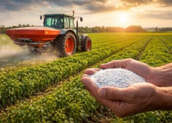 China restringe fertilizantes e afeta suprimento no Brasil