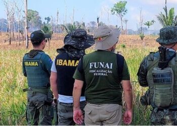Confronto: Fiscais do Ibama sofrem emboscada no Amazonas