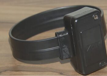 Senado aprova tornozeleira obrigatória para agressor de mulher