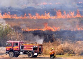 Governo tem 10 dias para mostrar plano de combate a incêndios