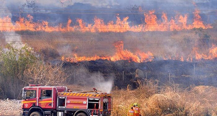 Governo tem 10 dias para mostrar plano de combate a incêndios