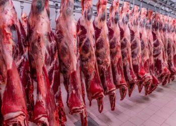 Governo tenta reverter veto “surpresa” da UE às carnes