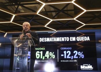 Desmatamento na Amazônia despenca 61,4% em maio