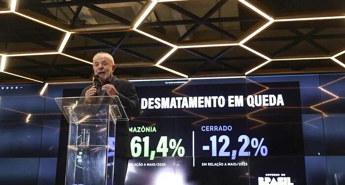 Desmatamento na Amazônia despenca 61,4% em maio