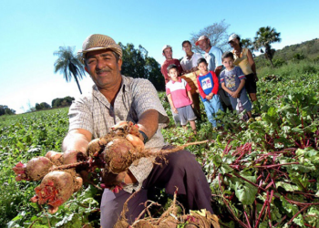 Em defesa do campo, senador celebra 56 anos do Incra