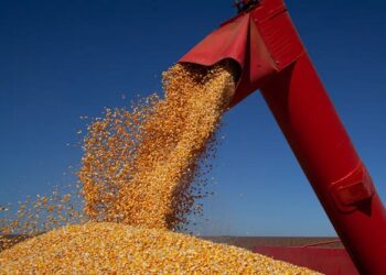 Safra 2026 estimada em 347,4 milhões de toneladas