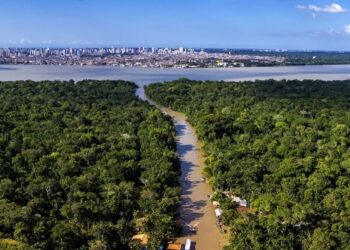 Ambientalistas criticam data center na Amazônia
