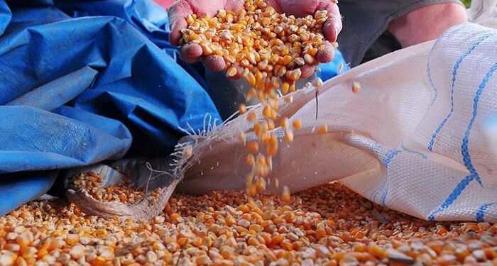 Governo entra no mercado para proteger quem produz