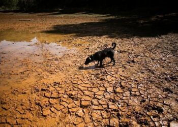 China prevê formação de super El Niño de intensidade histórica