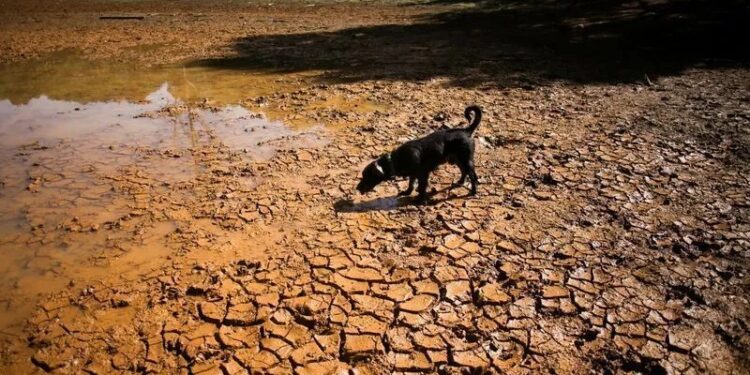 China prevê formação de super El Niño de intensidade histórica