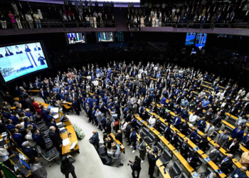CF terá 183 novos deputados e maior bancada feminina da história