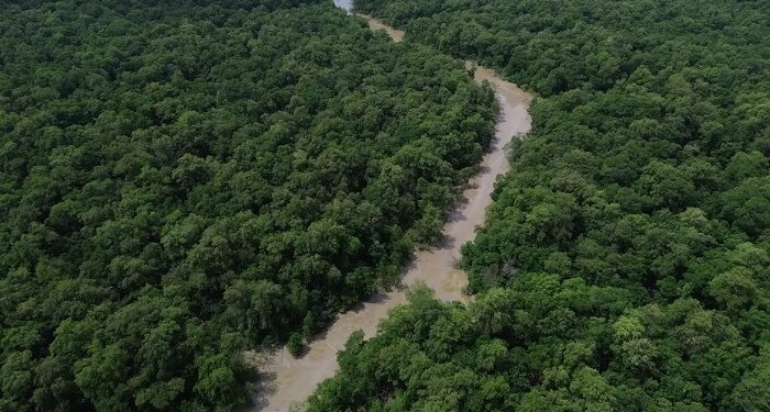Desmatamento cai 41,8% na Amazônia e 23,8% no Cerrado