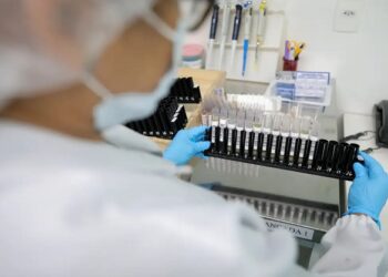 Malária: Anvisa libera testes de vacina 100% brasileira