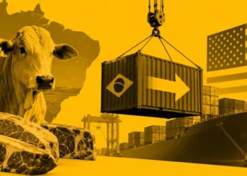 Exportações de carne bovina do Brasil aos EUA batem recorde